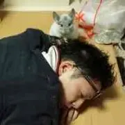 キングス