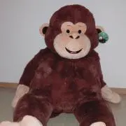KAMON'の画像