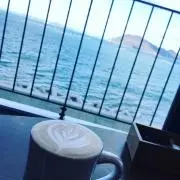 きなこの画像