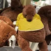 りんごの画像