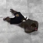 渚