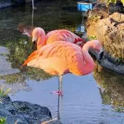 uの画像
