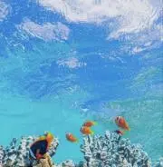ブルムーン✰