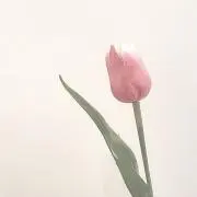 ぴー