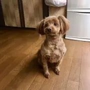 ミスズ