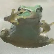 ぬ。