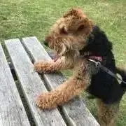 yupoの画像