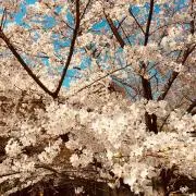 soonの画像