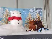 えりりん