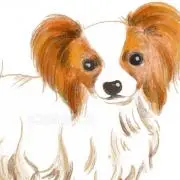 かっちゃん※プロフお読みくださいの画像