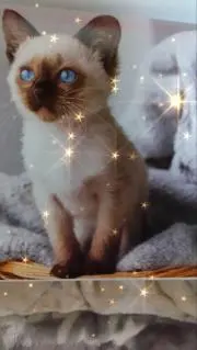 リク♡プロフ確認♡の画像