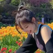 蘭の画像