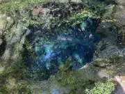 はっぱのっぽの画像
