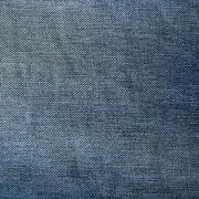 コクシネルの画像