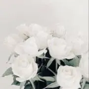 取引の画像