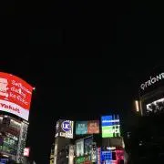 あじさいの画像