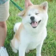 TAKAHIROの画像