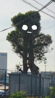 かるむの画像
