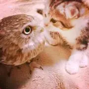 のぞ