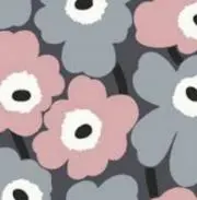 y-kの画像