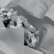 UNIの画像