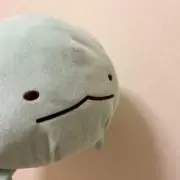 ライチュウ★即購入OKの画像