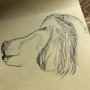 hanaの画像