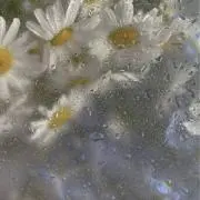 myの画像