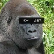 ジャギ
