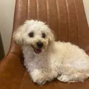 ちろの画像