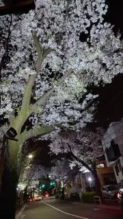 chanの画像