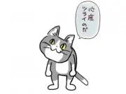 にゃーんの画像
