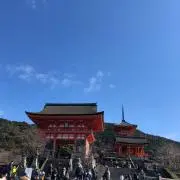 しゅうとの画像
