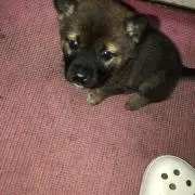 マーサー