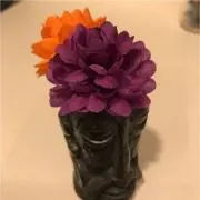 Koharuの画像
