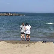 アンディの画像