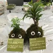 ビスケット☺︎の画像