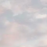 さくらの画像