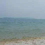 kocoronoyの画像