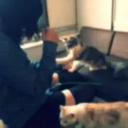 こっぷ