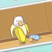 木の実