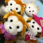 みるふぃーゆの画像