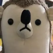 りなの画像