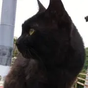 鉄春 ナナ