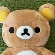 PP