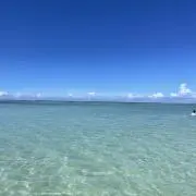 Yの画像