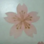 naoの画像