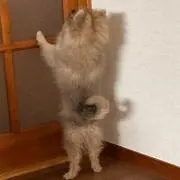刹那