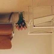 しろ