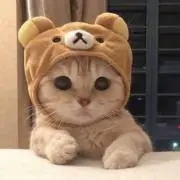 ☆ビビちゃん断捨離中 プロフ必読。の画像